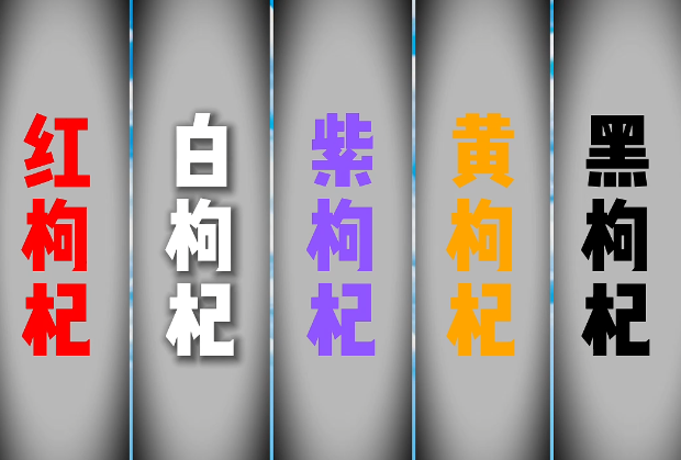 柴達(dá)木枸杞的“五彩天團(tuán)”
