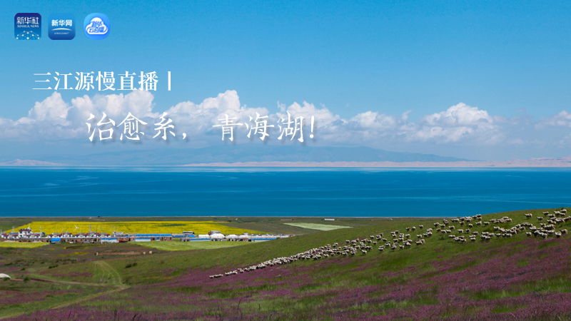 三江源慢直播丨治愈系，青海湖！